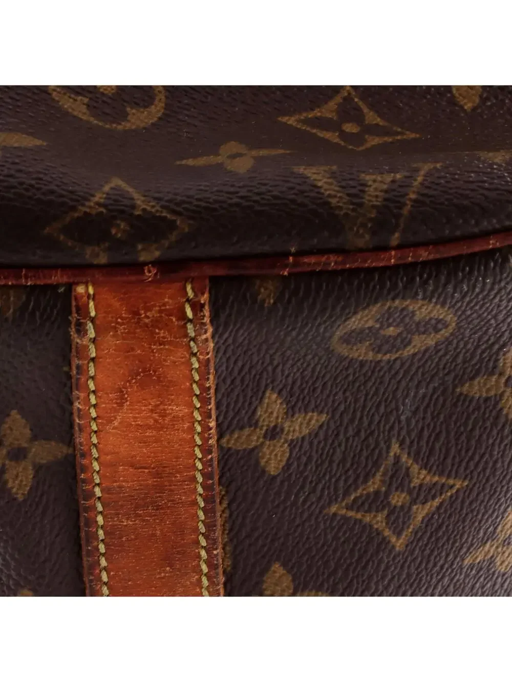 Louis Vuitton Flanerie Handbag Canvas #242637L74B
